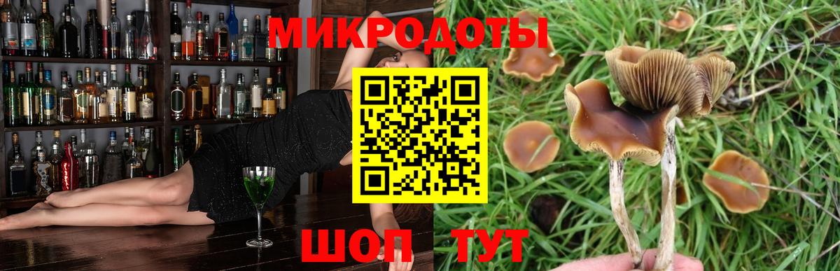Псилоцибиновые грибы GOLDEN TEACHER  Вход с VPN  Сокол  Псилоцибиновые грибы ЛСД 